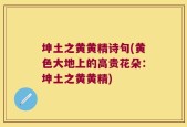坤土之黄黄精诗句(黄色大地上的高贵花朵：坤土之黄黄精)