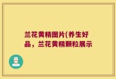 兰花黄精图片(养生好品，兰花黄精颗粒展示