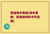楚雄禄丰黄精(禄丰黄精：楚雄独特的中药宝藏)