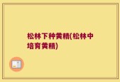 松林下种黄精(松林中培育黄精)