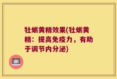 牡蛎黄精效果(牡蛎黄精：提高免疫力，有助于调节内分泌)