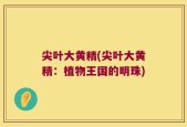 尖叶大黄精(尖叶大黄精：植物王国的明珠)