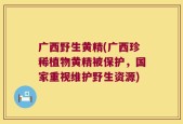 广西野生黄精(广西珍稀植物黄精被保护，国家重视维护野生资源)
