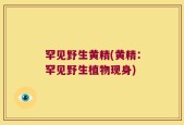 罕见野生黄精(黄精：罕见野生植物现身)