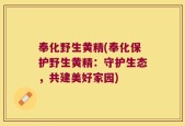 奉化野生黄精(奉化保护野生黄精：守护生态，共建美好家园)
