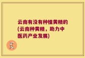 云南有没有种植黄精的(云南种黄精，助力中医药产业发展)