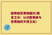 甜黄精苦黄精图片(甜苦之分：认识甜黄精与苦黄精的不同之处)