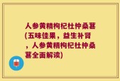 人参黄精枸杞杜仲桑葚(五味佳果，益生补肾，人参黄精枸杞杜仲桑葚全面解读)