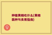 种植黄精吃什么(黄精栽种与食用指南)