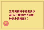 五斤黄精种子能出多少苗(五斤黄精种子可播种多少黄精苗？)
