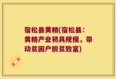 宿松县黄精(宿松县：黄精产业初具规模，带动贫困户脱贫致富)