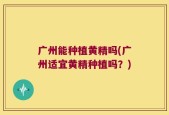广州能种植黄精吗(广州适宜黄精种植吗？)