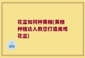 花盆如何种黄精(黄精种植达人教您打造美观花盆)