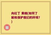 向红丁 黄精(如何了解和保护我们的环境？)