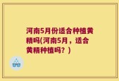 河南5月份适合种植黄精吗(河南5月，适合黄精种植吗？)