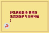 野生黄精栽培(黄精野生资源保护与高效种植)