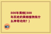 800年黄精(800年历史的黄精植物有什么神奇功效？)