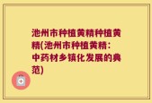 池州市种植黄精种植黄精(池州市种植黄精：中药材乡镇化发展的典范)