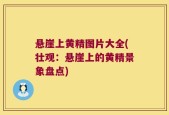 悬崖上黄精图片大全(壮观：悬崖上的黄精景象盘点)