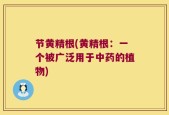 节黄精根(黄精根：一个被广泛用于中药的植物)