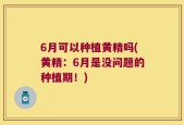 6月可以种植黄精吗(黄精：6月是没问题的种植期！)