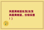凤凰黄精苗批发(批发凤凰黄精苗，价格实惠！)