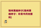 锦州黄精种子(锦州黄精种子：珍贵中药材原料)