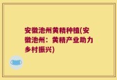 安徽池州黄精种植(安徽池州：黄精产业助力乡村振兴)