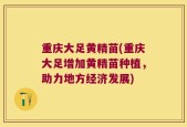重庆大足黄精苗(重庆大足增加黄精苗种植，助力地方经济发展)