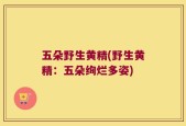 五朵野生黄精(野生黄精：五朵绚烂多姿)