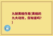 九制黄精作用(黄精的九大功效，你知道吗？)