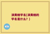 滇黄精学名(滇黄精的学名是什么？)