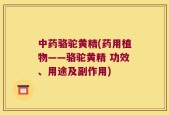 中药骆驼黄精(药用植物——骆驼黄精 功效、用途及副作用)