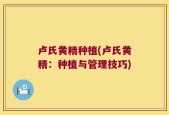 卢氏黄精种植(卢氏黄精：种植与管理技巧)