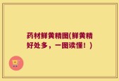 药材鲜黄精图(鲜黄精好处多，一图读懂！)