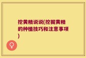 挖黄精说说(挖掘黄精的种植技巧和注意事项)