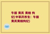 牛膝 黄芪 黄精 枸杞(中草药养生：牛膝黄芪黄精枸杞)
