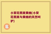 小葵花燕窝黄精(小葵花燕窝与黄精的天然呵护)