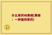 什么草药叫黄精(黄精：一种强效草药)
