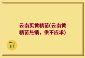 云南买黄精苗(云南黄精苗热销，供不应求)