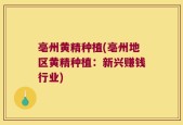 亳州黄精种植(亳州地区黄精种植：新兴赚钱行业)