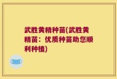 武胜黄精种苗(武胜黄精苗：优质种苗助您顺利种植)