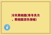 冷天黄精图(寒冬良方，黄精图清热保暖)