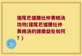 猪尾巴猪腰杜仲黄精汤功效(猪尾巴猪腰杜仲黄精汤的健康益处如何？)