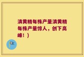 滇黄精每株产量滇黄精每株产量惊人，创下高峰！)