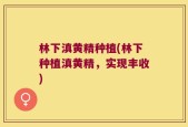 林下滇黄精种植(林下种植滇黄精，实现丰收)