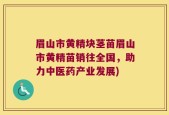 眉山市黄精块茎苗眉山市黄精苗销往全国，助力中医药产业发展)