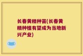 长春黄精种苗(长春黄精种植有望成为当地新兴产业)
