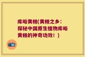 库峪黄精(黄精之乡：探秘中国原生植物库峪黄精的神奇功效！)