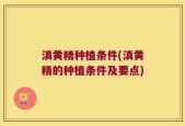 滇黄精种植条件(滇黄精的种植条件及要点)